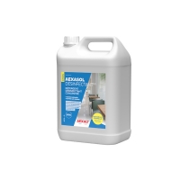 AEXALT - Détergent désinfectant aexasol desinfectant - 5 l - parfum pin | PROLIANS