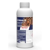 AEXALT - Convertisseur fix’rouille - 1 l | PROLIANS