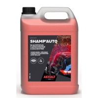 AEXALT - Nettoyant carrosserie automobile shamp'auto - 5 l - parfum citron | PROLIANS