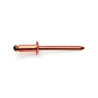 DEGOMETAL - Rivet aveugle rivet aveugle cuivre/bronze tr cub trs | PROLIANS