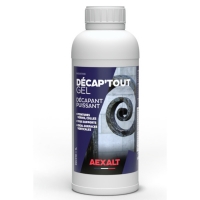 AEXALT - Décapant peinture decap'tout gel | PROLIANS